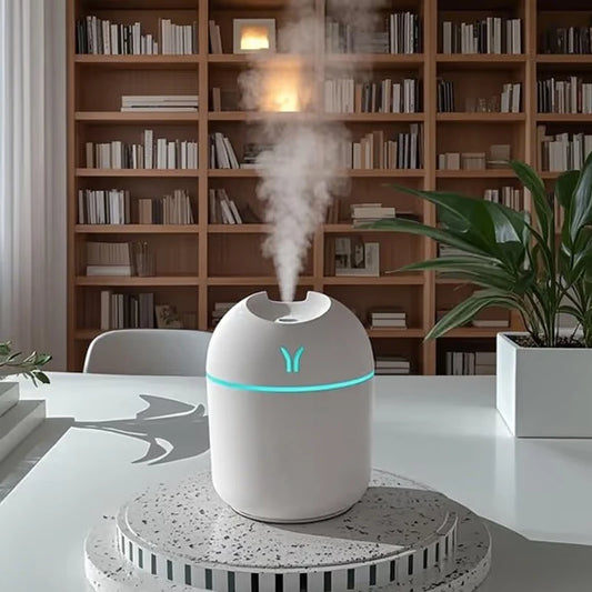 Compact Portable Humidifier