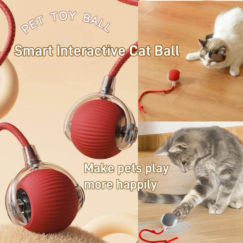 Interactive Cat Toy Ball: Automatically Rolling Electric Ball, Suitable for Indoor Cats/Dogs, Brings the Fun of Chasing Tails. Motion Sensing, Keeps Pets Busy and Enjoys Rich Sports Stimulation. Great Pet Gifts/Supplies. - My Chroma Cart
