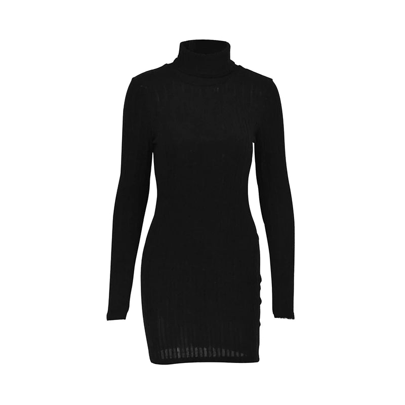 Women’s Solid Turtleneck Mini Dress