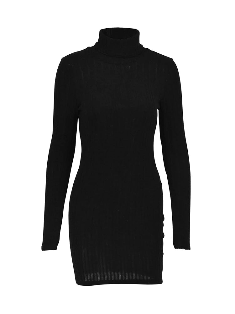 Women’s Solid Turtleneck Mini Dress