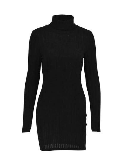 Women’s Solid Turtleneck Mini Dress