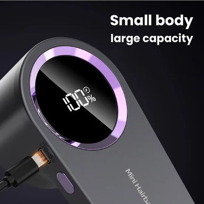 Portable Clothes Lint & Pill Remover