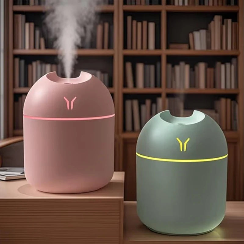 Compact Portable Humidifier