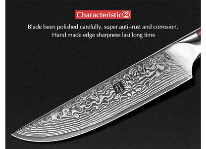 XINZUO 5'' Inch Steak Knife Damascus VG10 Steel Kitchen Knives High Quality Cutter Tools Utility Knife with Rosewood Handle