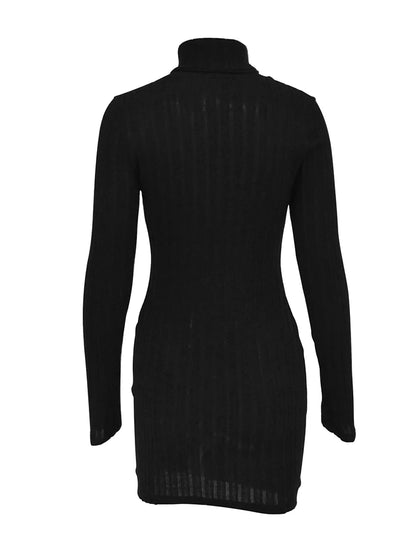 Women’s Solid Turtleneck Mini Dress