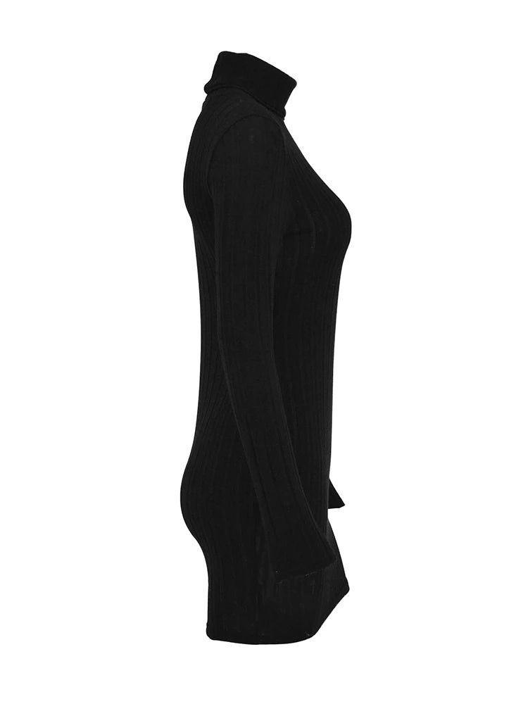 Women’s Solid Turtleneck Mini Dress
