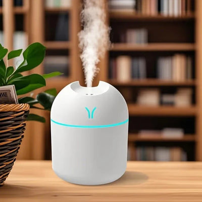 Compact Portable Humidifier