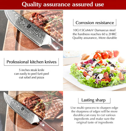 XINZUO 5 Inch VG10 Damascus Steak Knife Rosewood