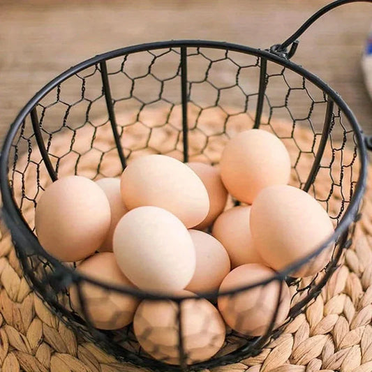 Metal Wire Egg Basket Chicken Holder