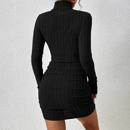 Women’s Solid Turtleneck Mini Dress