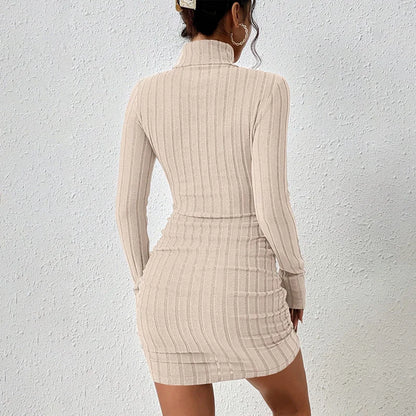 Women’s Solid Turtleneck Mini Dress
