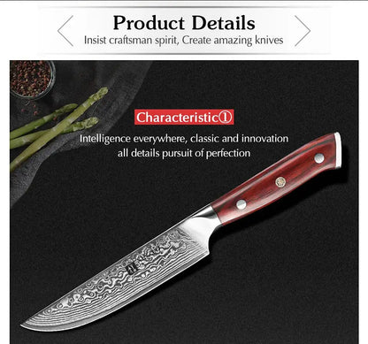 XINZUO 5'' Inch Steak Knife Damascus VG10 Steel Kitchen Knives High Quality Cutter Tools Utility Knife with Rosewood Handle