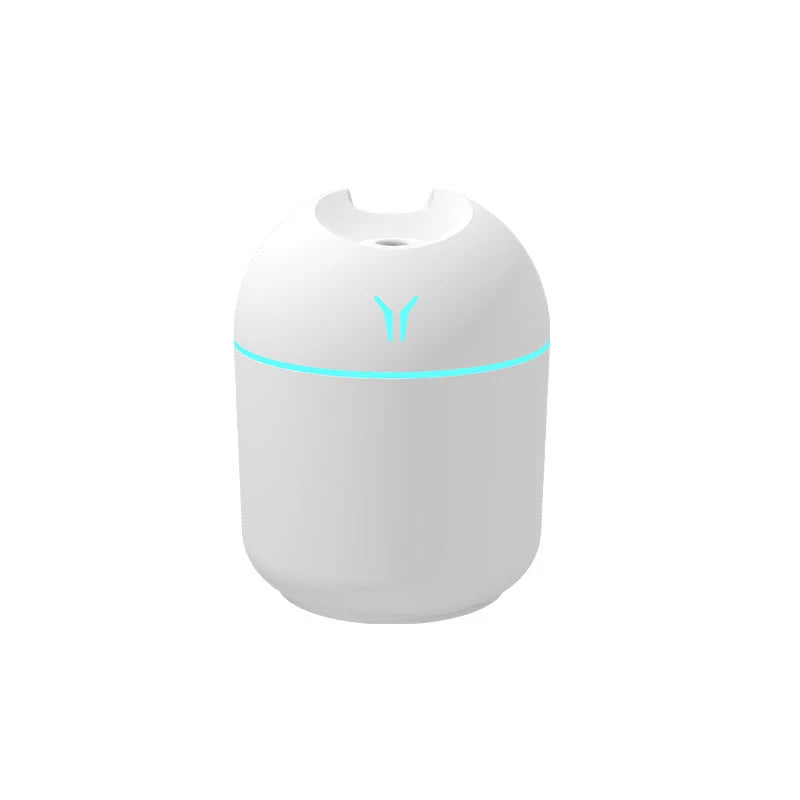 Mini Ultrasonic Air Humidifier 250ML