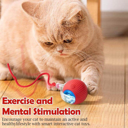 Interactive Cat Toy Ball: Automatically Rolling Electric Ball, Suitable for Indoor Cats/Dogs, Brings the Fun of Chasing Tails. Motion Sensing, Keeps Pets Busy and Enjoys Rich Sports Stimulation. Great Pet Gifts/Supplies. - My Chroma Cart