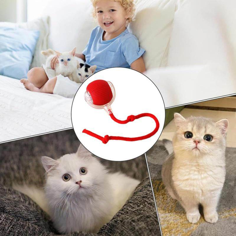 Interactive Cat Toy Ball: Automatically Rolling Electric Ball, Suitable for Indoor Cats/Dogs, Brings the Fun of Chasing Tails. Motion Sensing, Keeps Pets Busy and Enjoys Rich Sports Stimulation. Great Pet Gifts/Supplies. - My Chroma Cart
