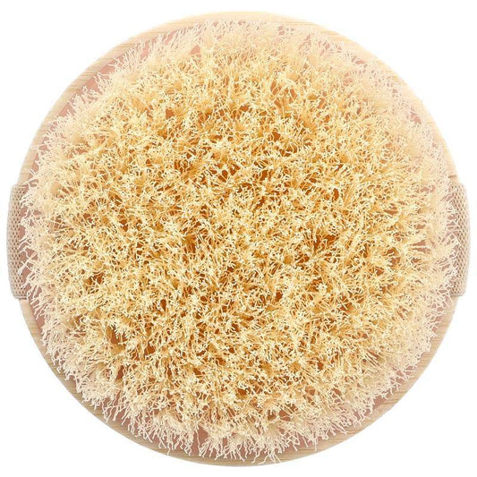 Round dry body brush with dense natural bristles and wooden base handles on the sides.
